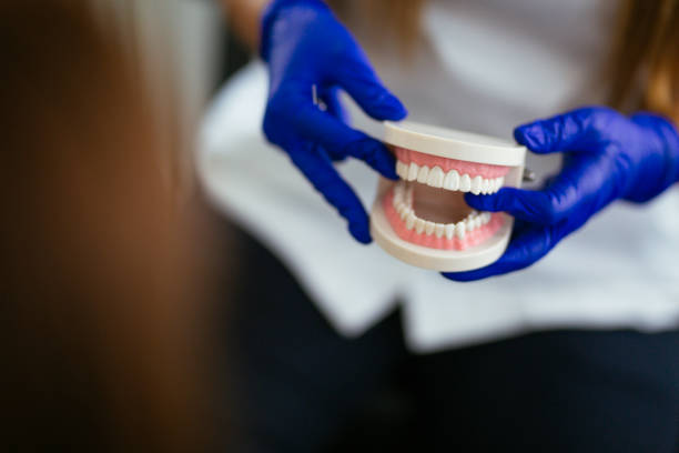 Reliable Chico, WA Holistic Dental Care Services Solutions